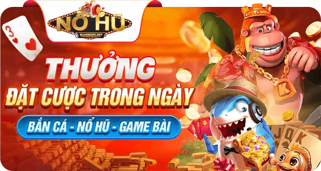 Trang chủ 245 nohu km